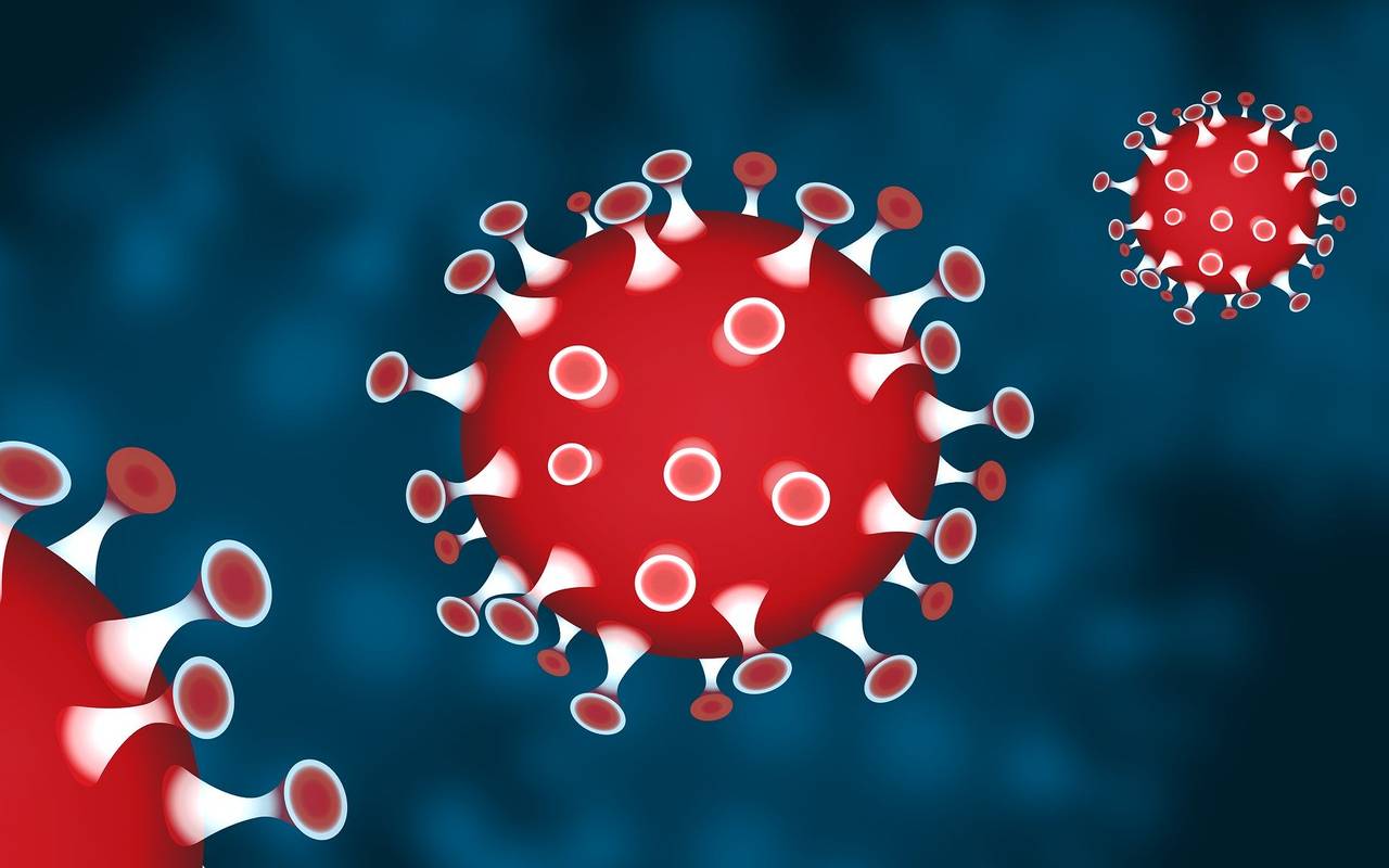 Corona Virus