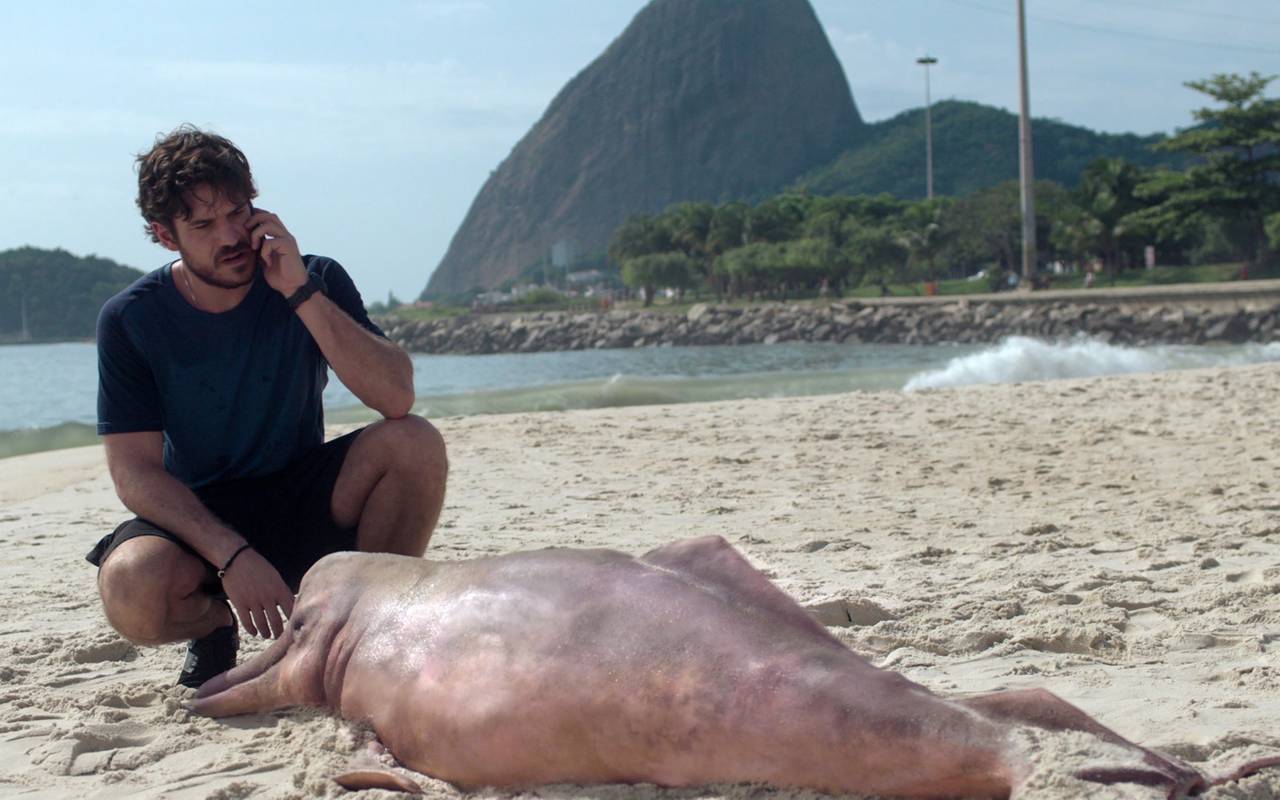 Eric und der tote Delfin.