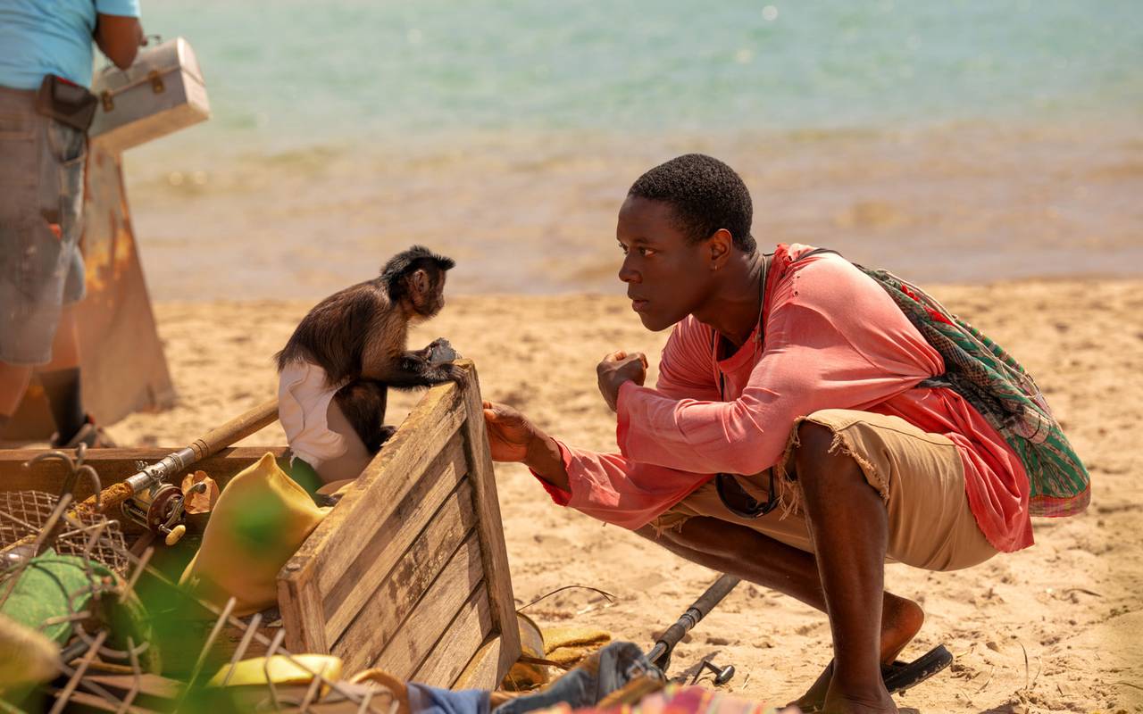 Ist er der Bad Monkey?