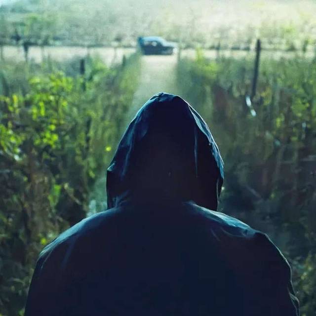 Wer steckt hinter dem Monster von Florenz?