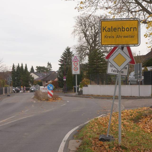 Mutmaßliche Großkatze gesichtet