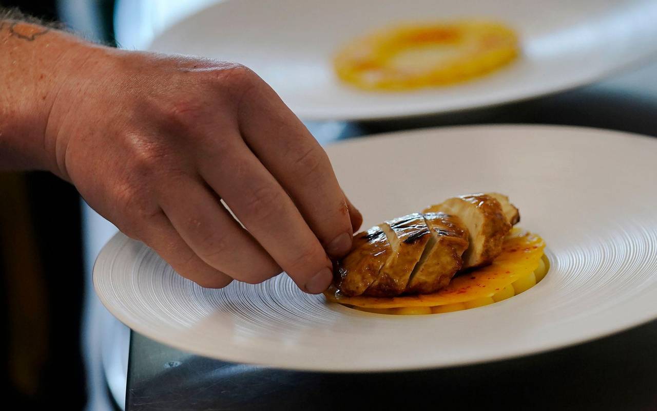 USA erlauben Verkauf von Laborfleisch