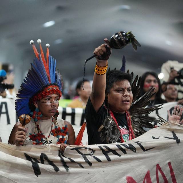 Weltklimakonferenz COP30