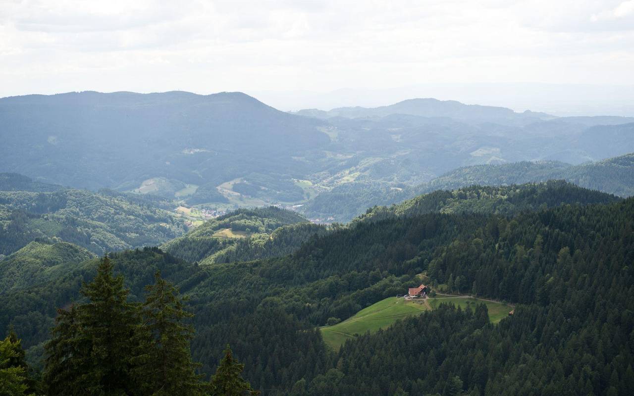 Nationalpark Schwarzwald