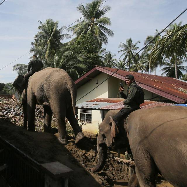Überschwemmungen in Indonesien