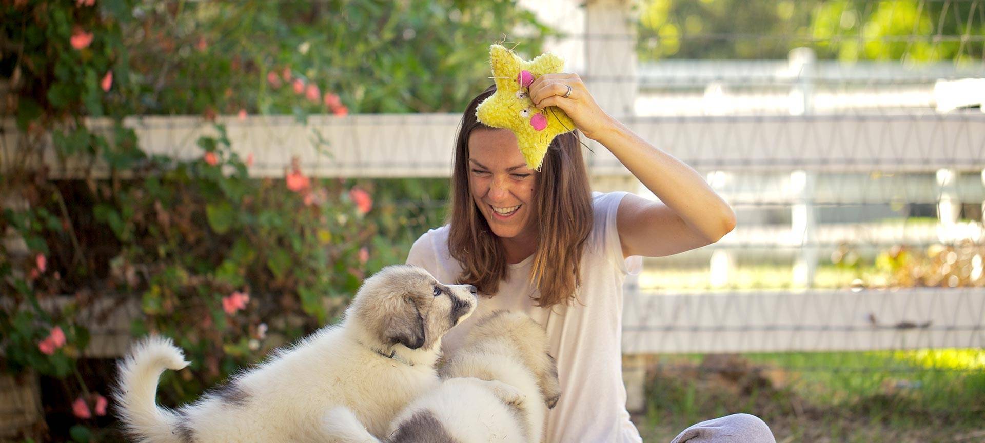 Molly spielt mit den Tieren.