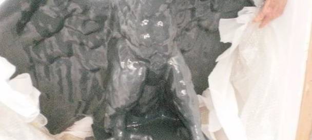 Einweihung der neuen Adlerbrücke