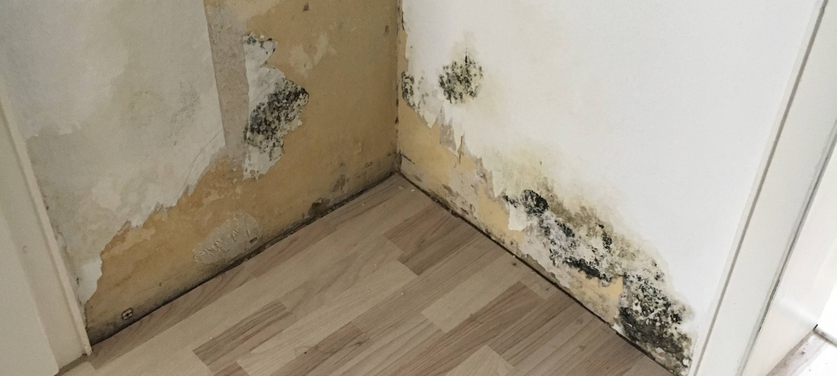 Altro-Mondo-Wohnungen mit Mängeln