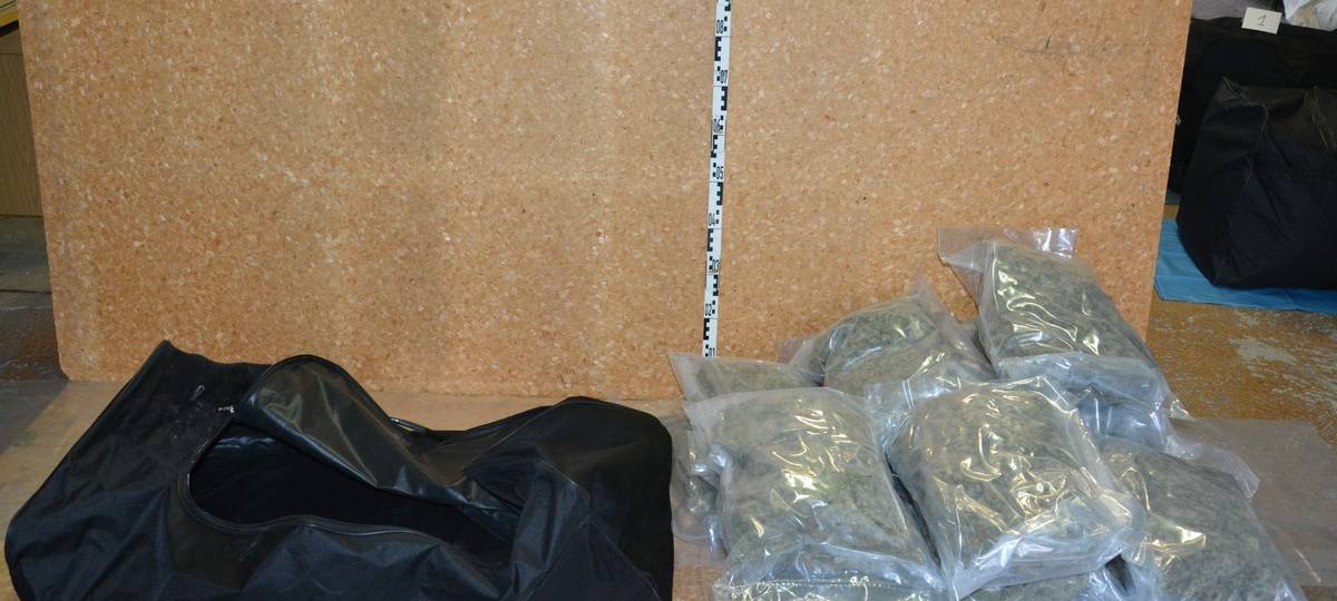 Ermittler fassen "Drogenkönig vom Berliner Platz"