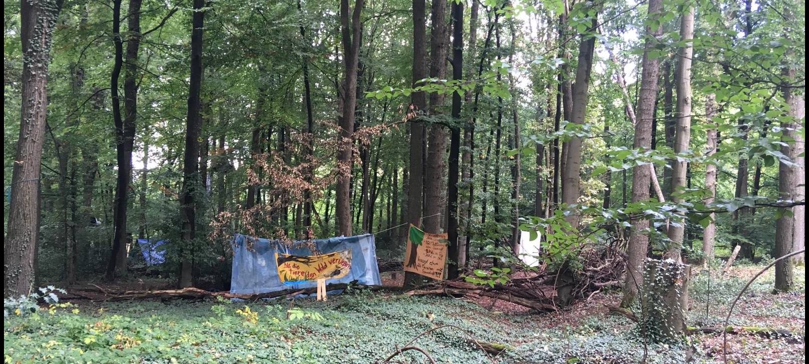 Werden im Osterholz Fakten geschaffen?