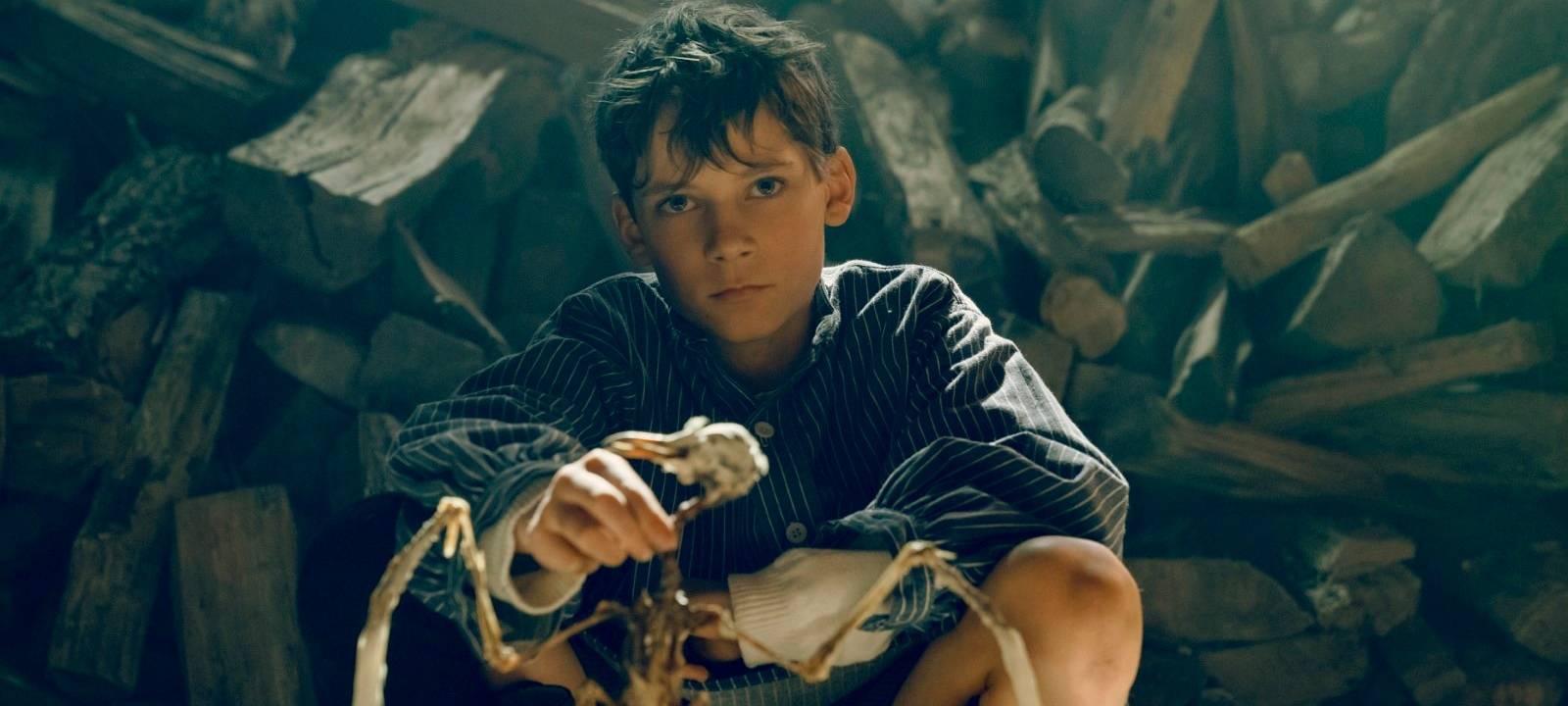 Siggi weiß nicht mehr weiter.