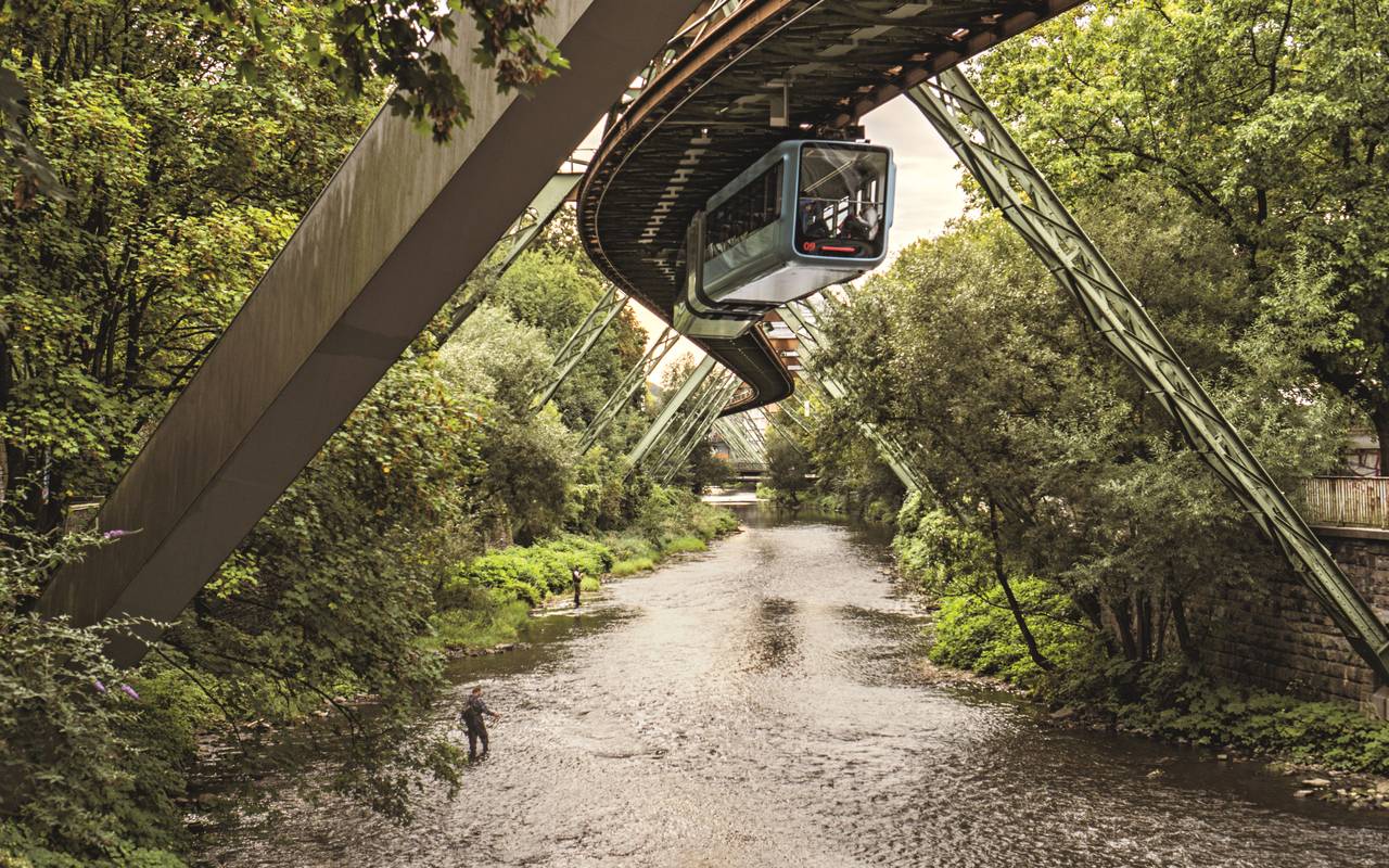 Laichen in der Wupper Radio Wuppertal