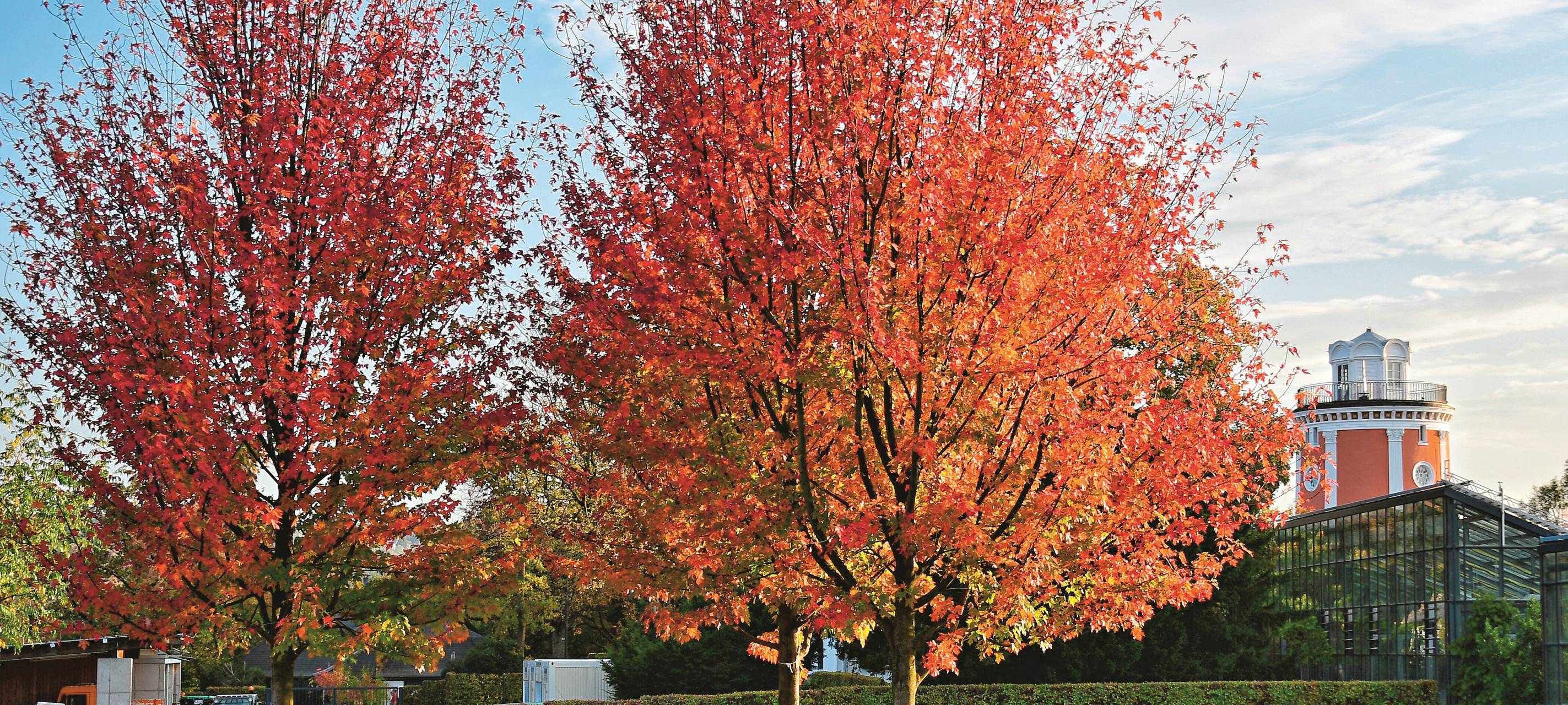 Der Wuppertaler Foto Preis 2019