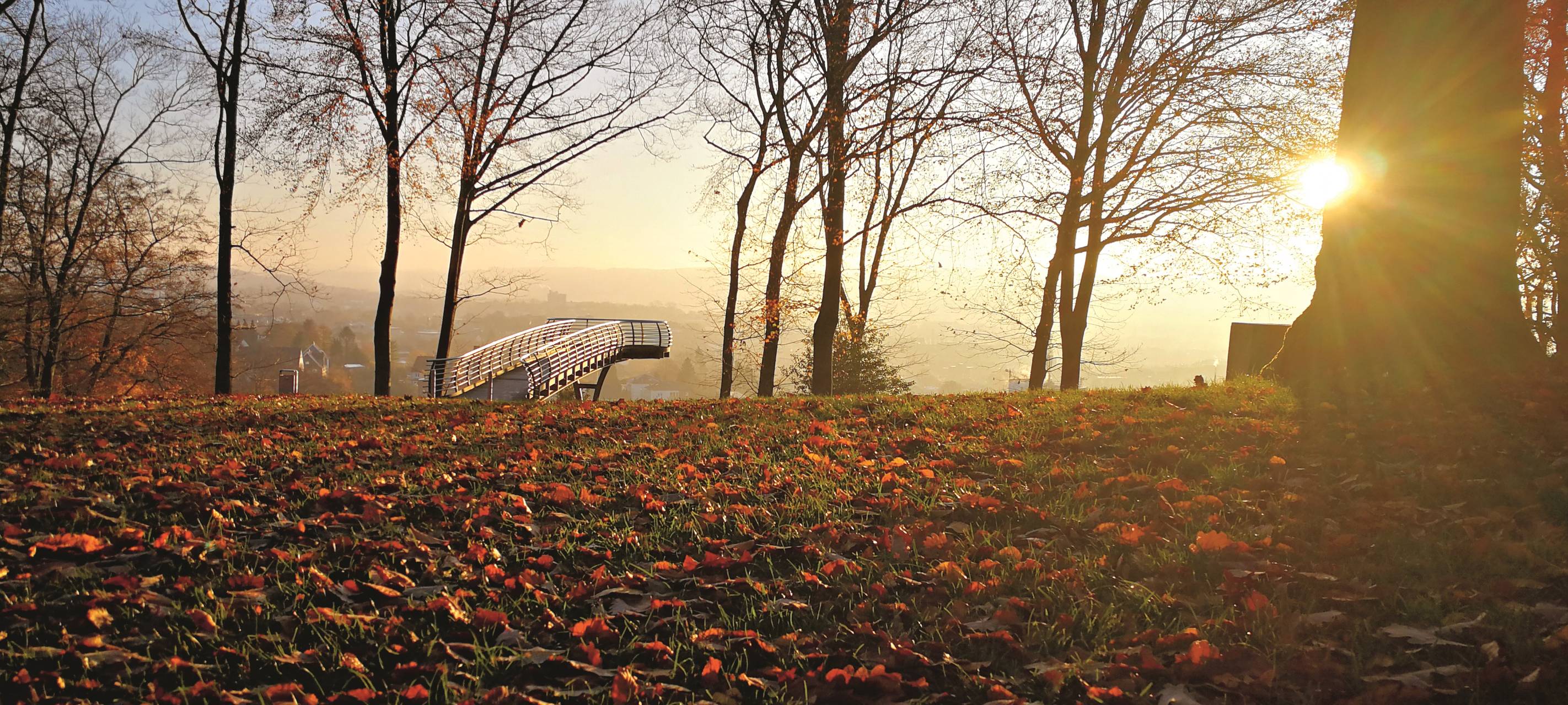 Der Wuppertaler Foto Preis 2019