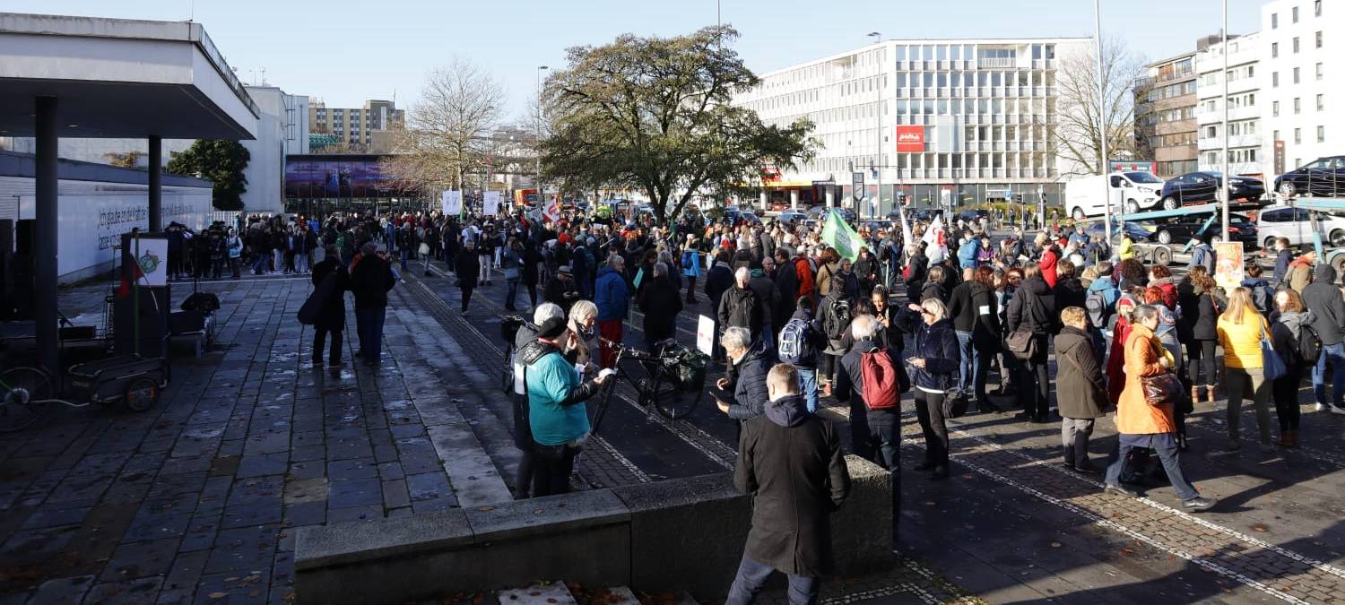 Demo von Fridays for Future
