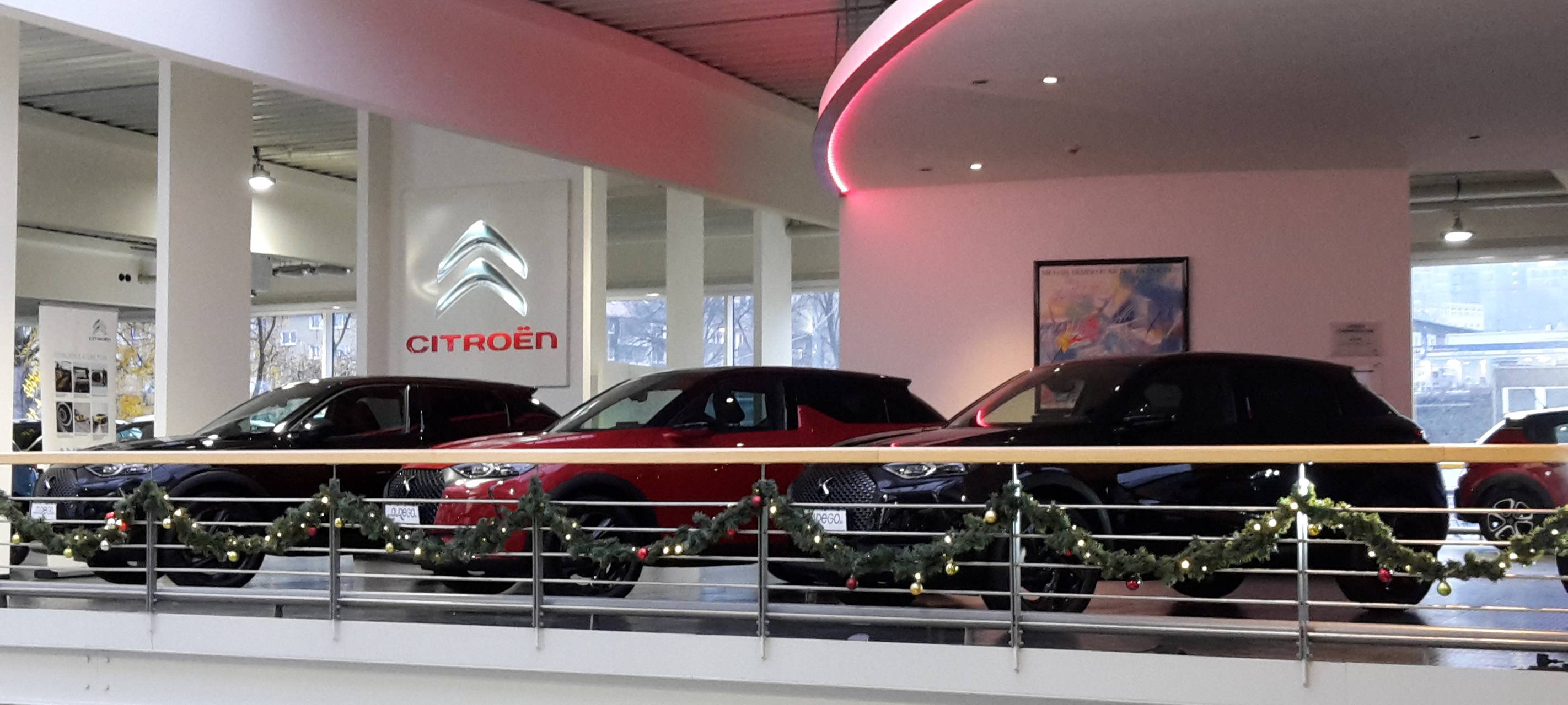 Weihnachtsbäume für Kindertal