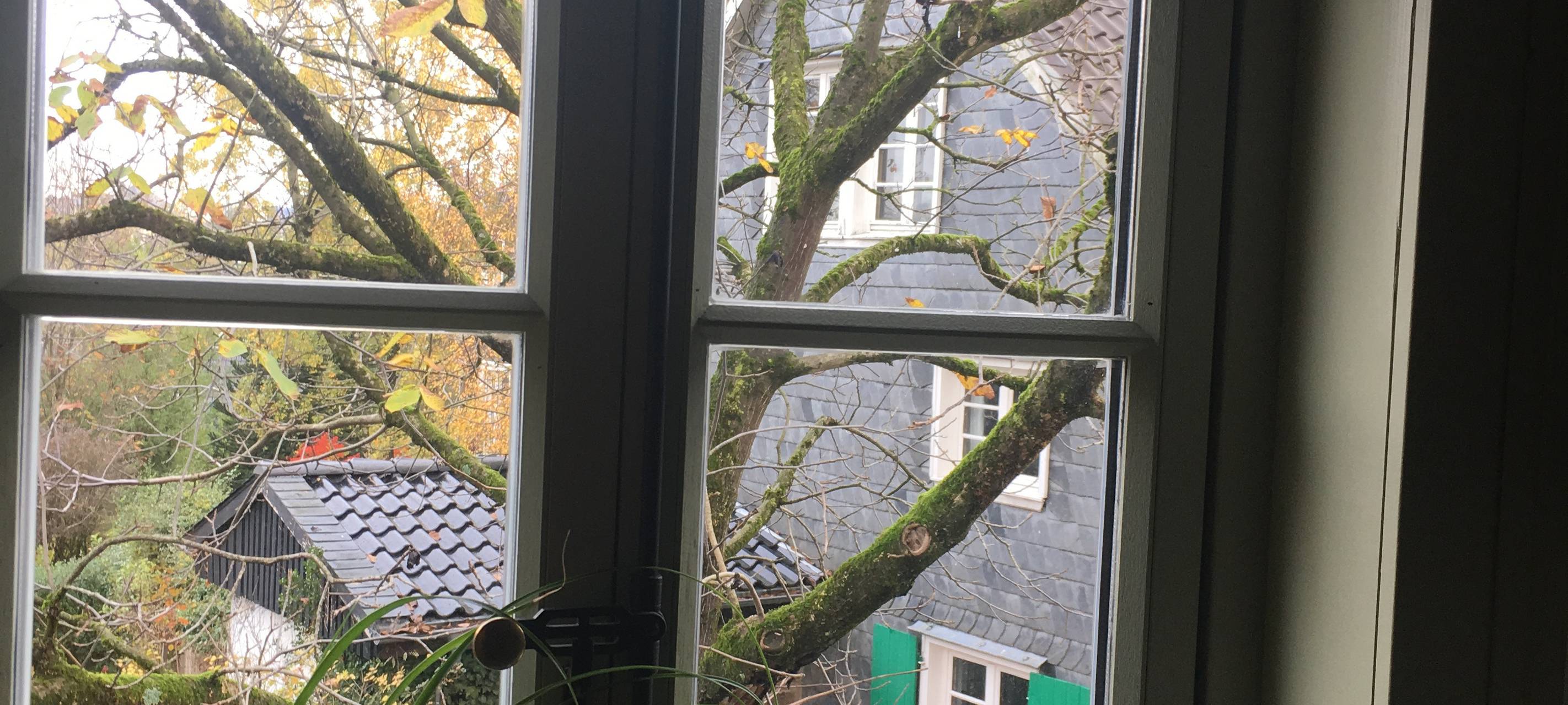 Denkmalgeschütze Häuser