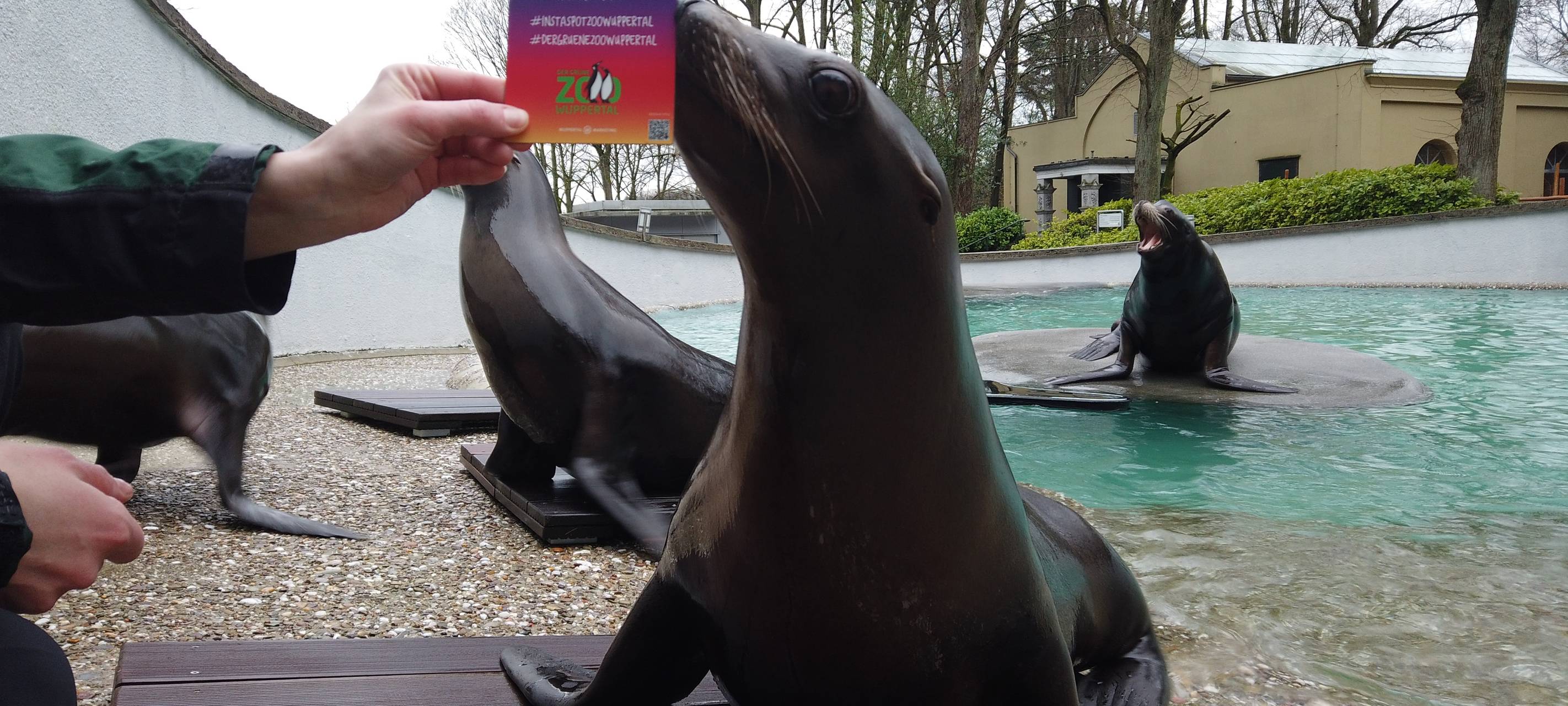 Zoo bietet Fotochallenge an