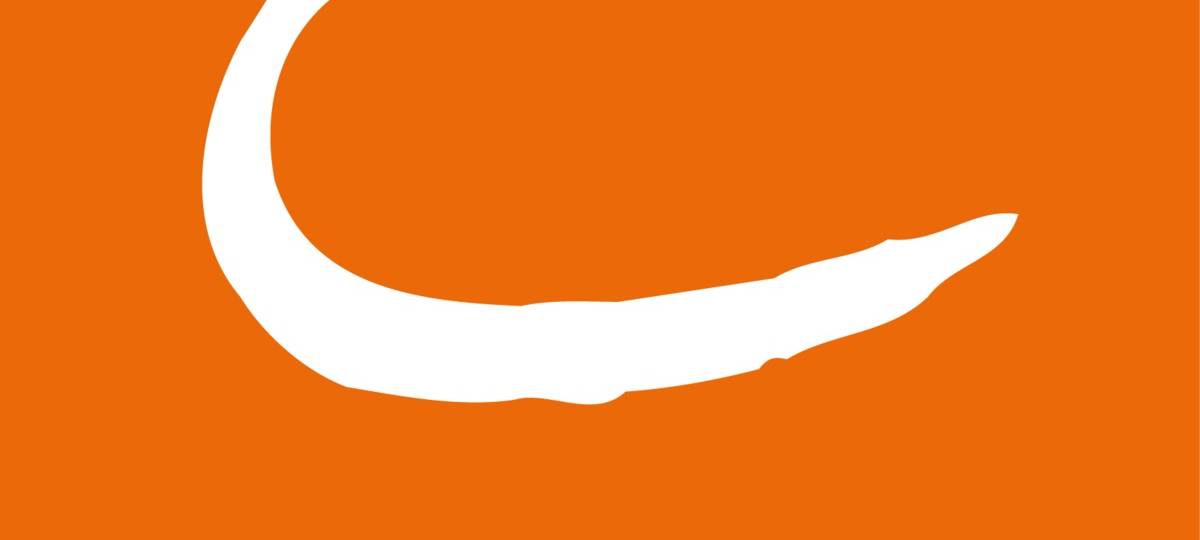 Weiteres Car-Sharing