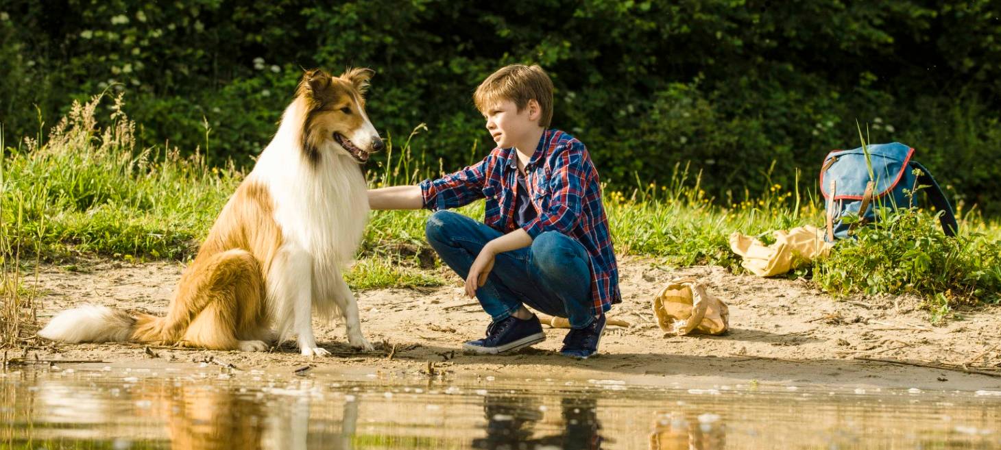 Noch sind die Beiden vereint.