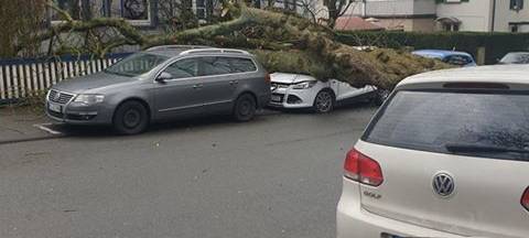 Baum blockierte Virchowstraße
