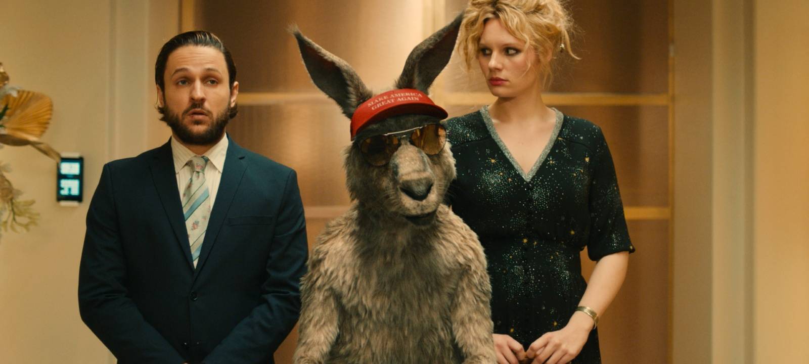 Ab sofort übernimmt das Känguru das Kommando