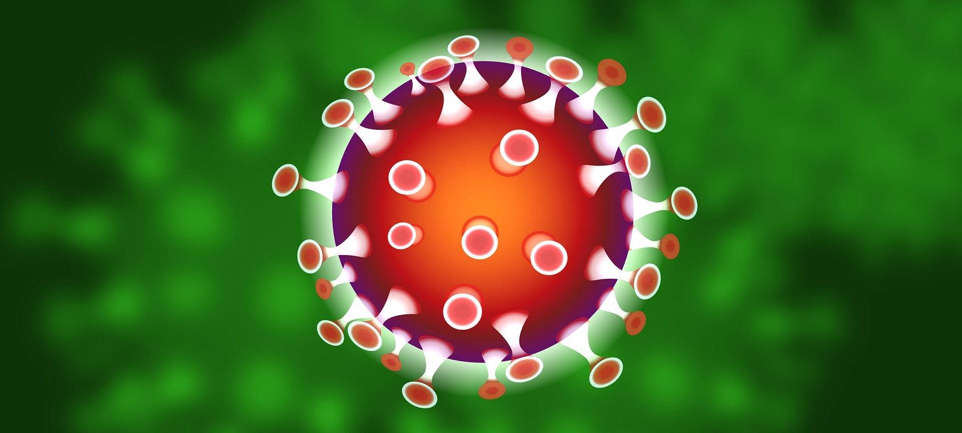 Hier geht es zur Allgemeinverfügung der Stadt