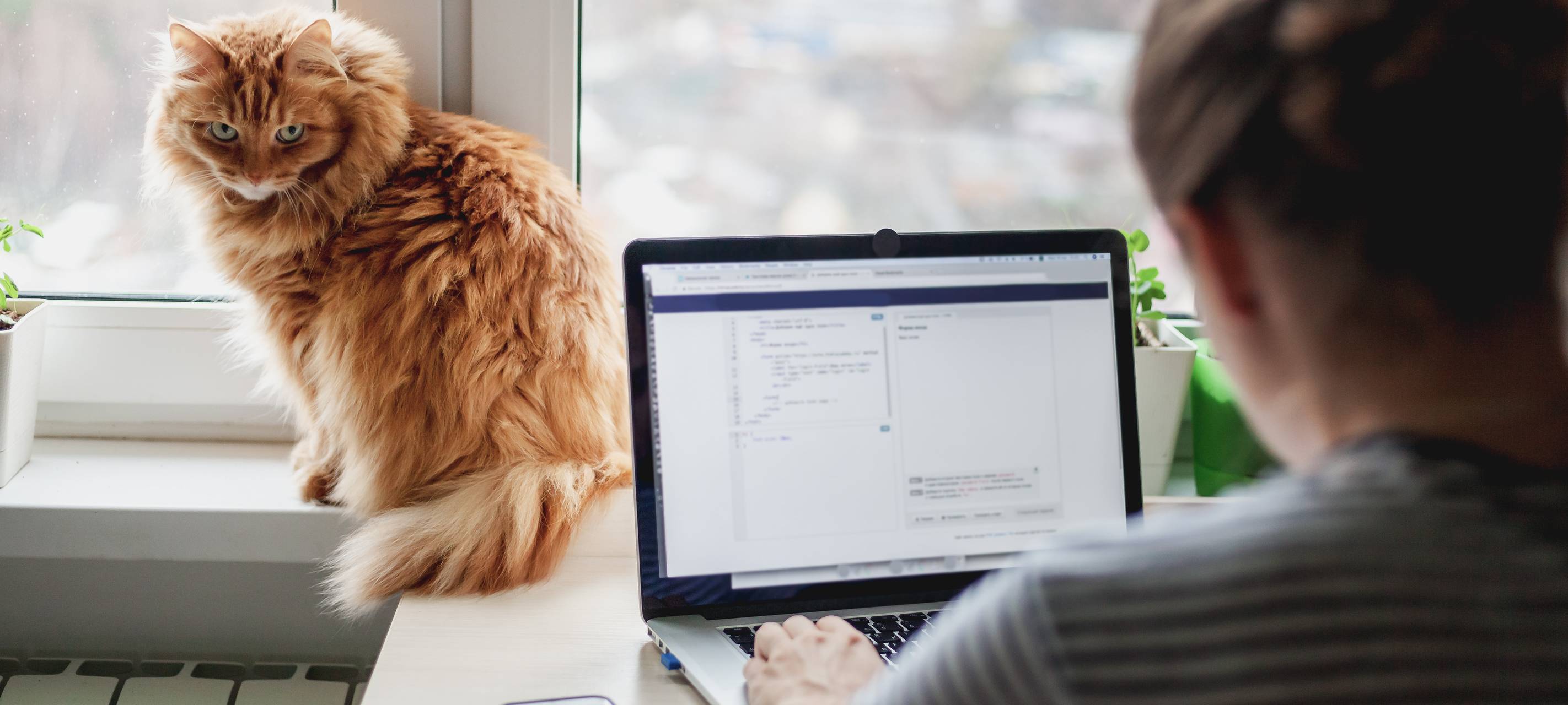 Fremdgehen ist beliebt in der Wuppertaler Online-Suche