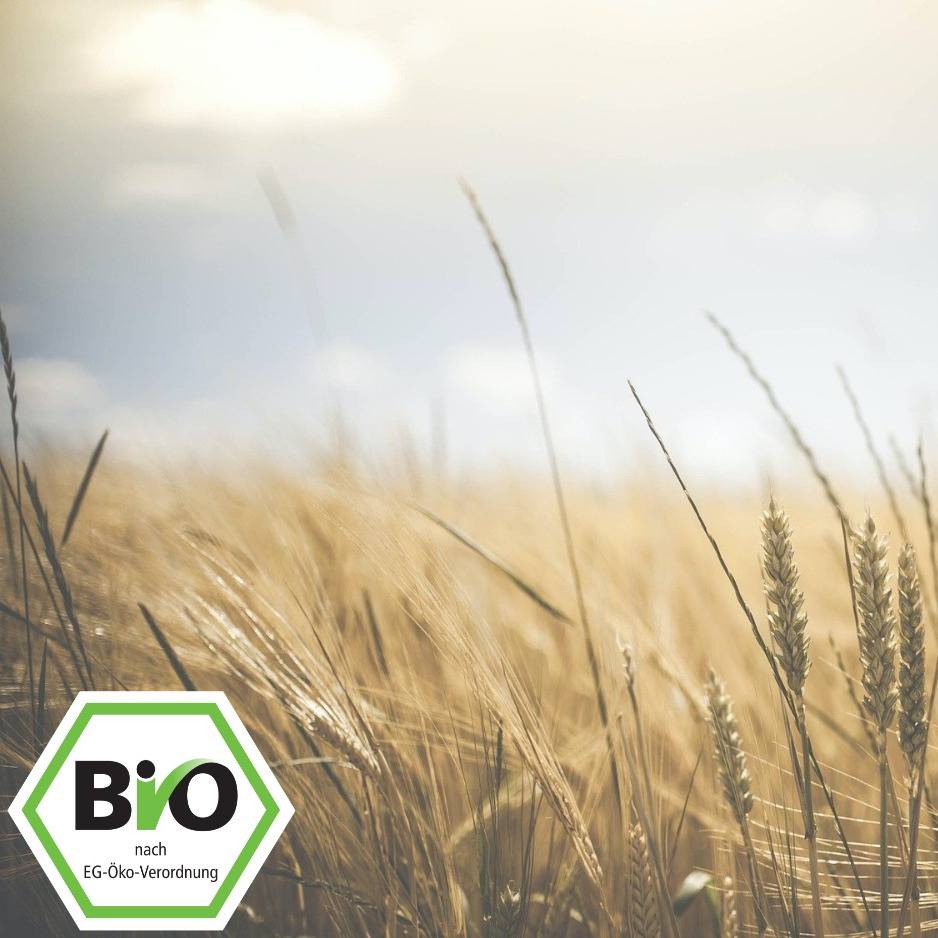 Kindergeburtstag Bauernhof Wuppertal Ausflugsziele Freizeitangebote Feriencamps Uvm Auf Kids Ontour De