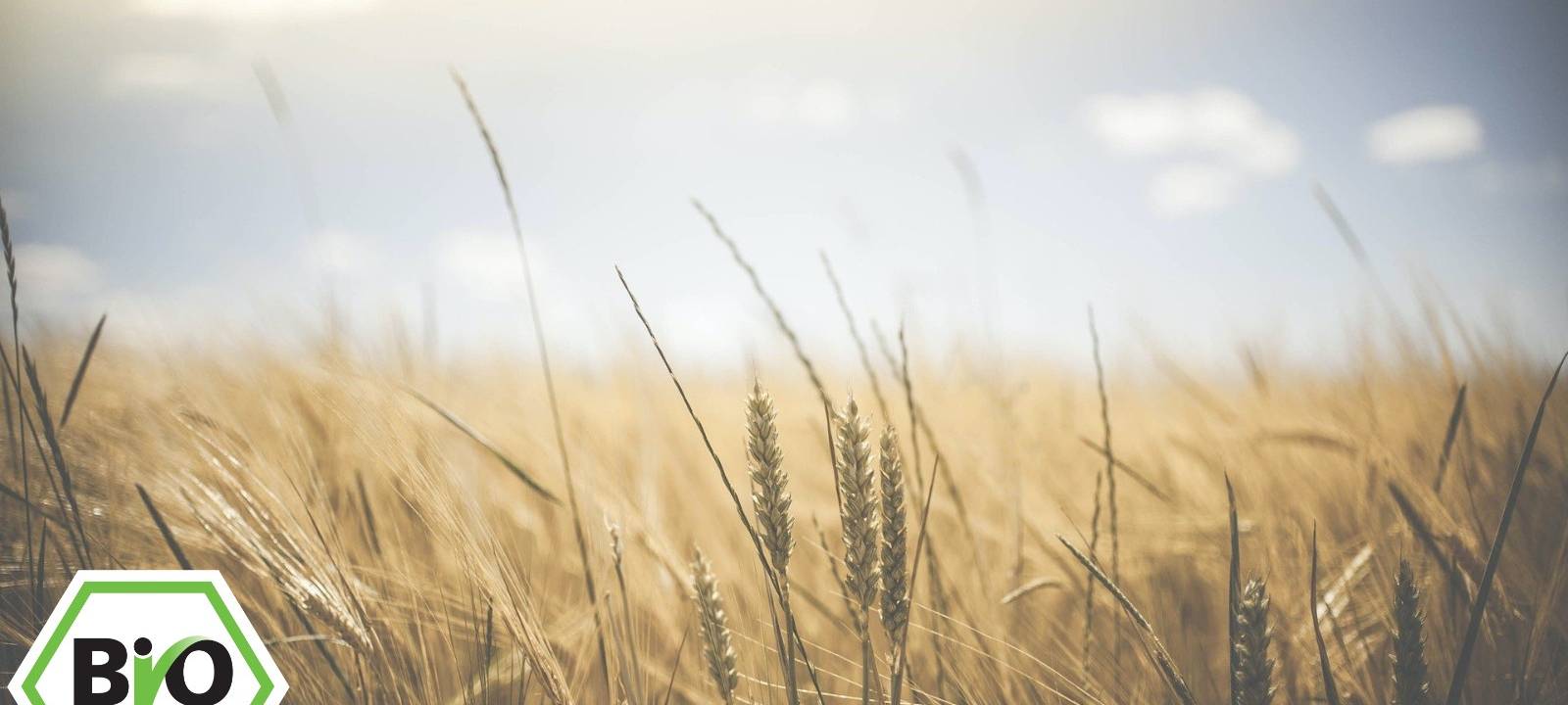 Biohöfe profitieren in Corona-Zeit