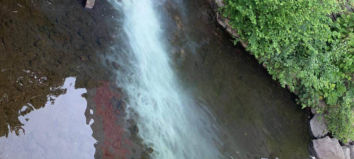 Weiße Flüssigkeit läuft in Wupper