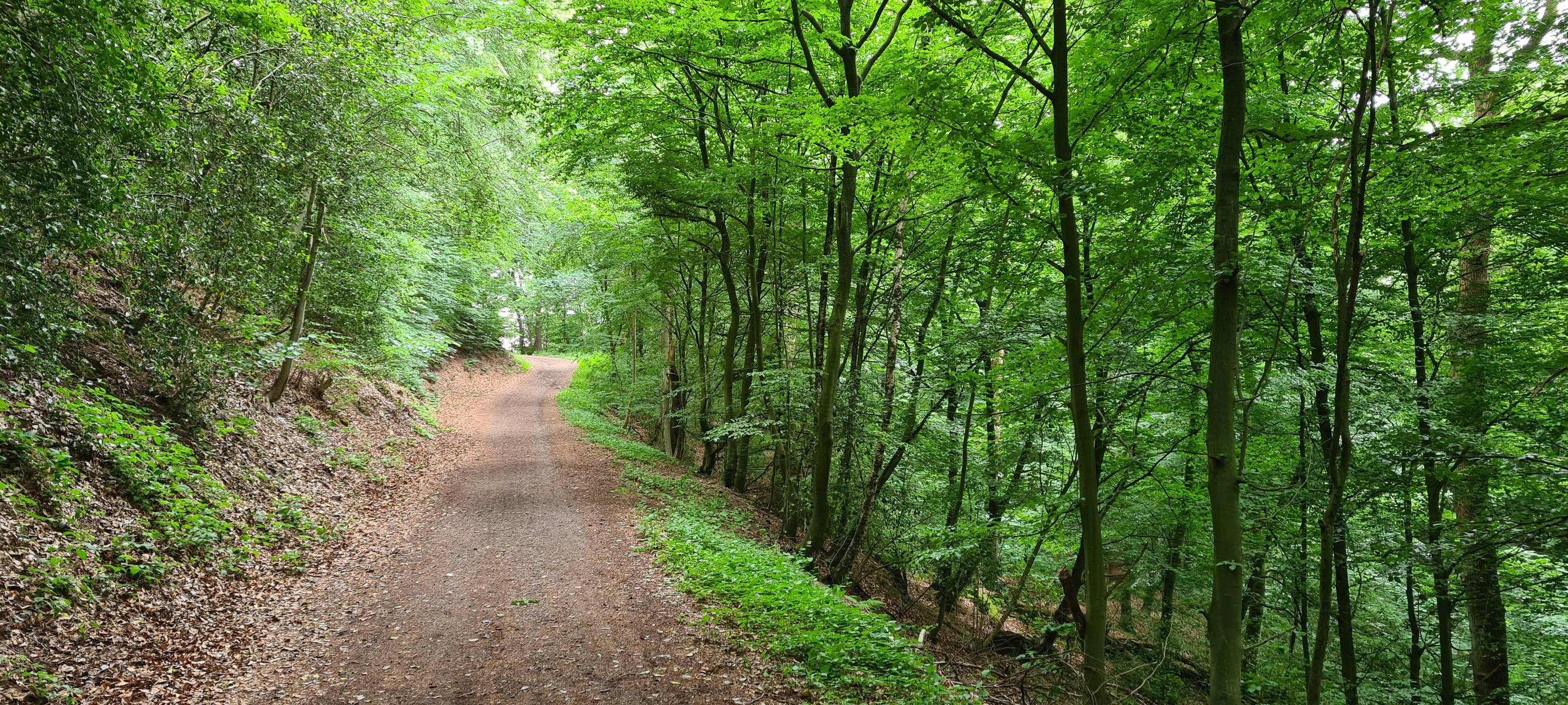 Klimaschutz ist Menschen in Wuppertal wichtig