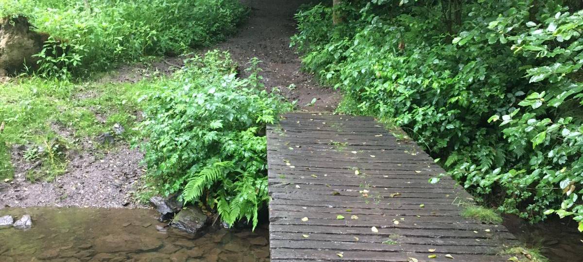 Der Weg ist das Ziel