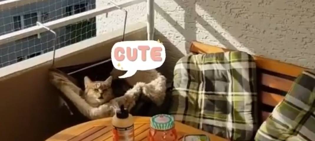 Frühstück auf dem Balkon