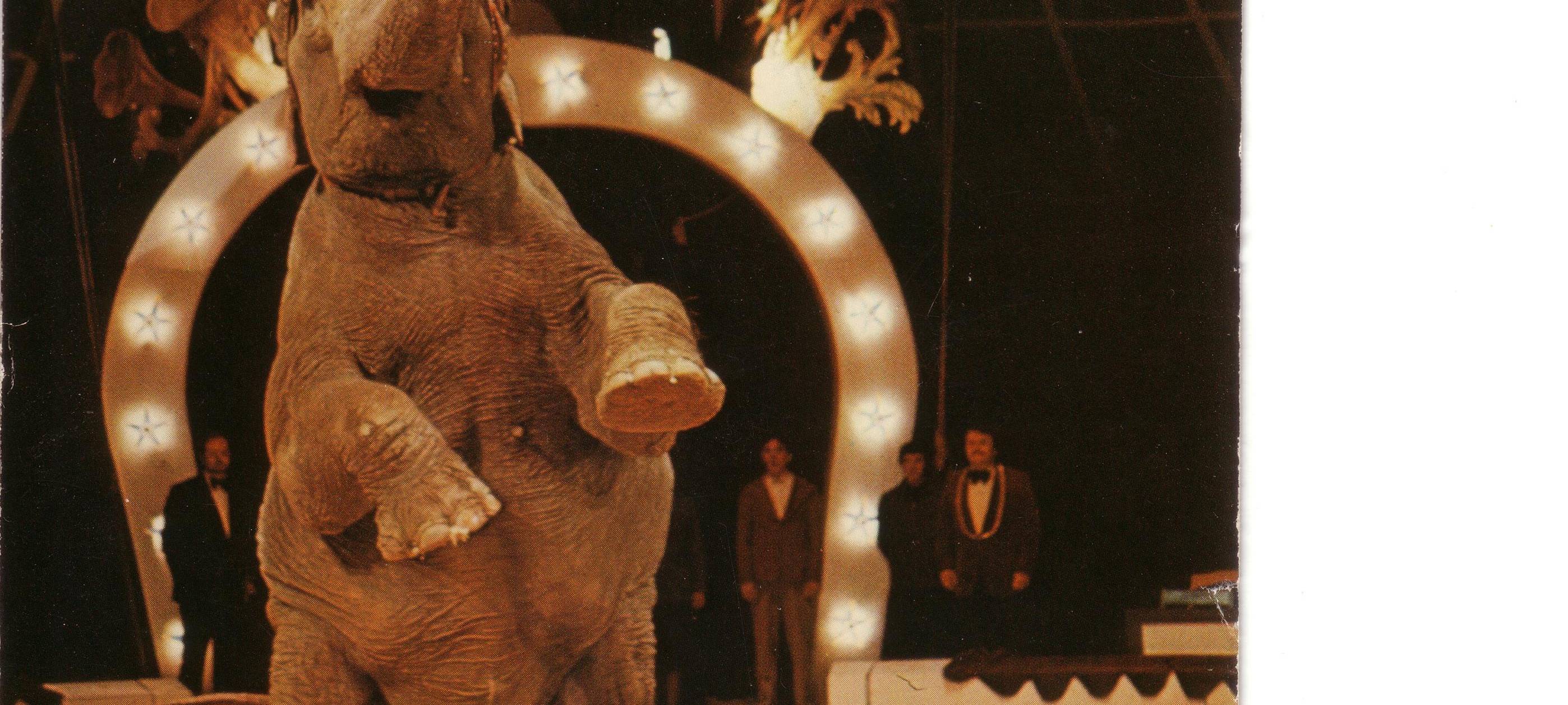 30 Jahre später (1980) in Frankreich