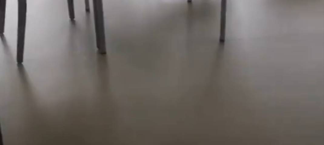 Die Tagespflege