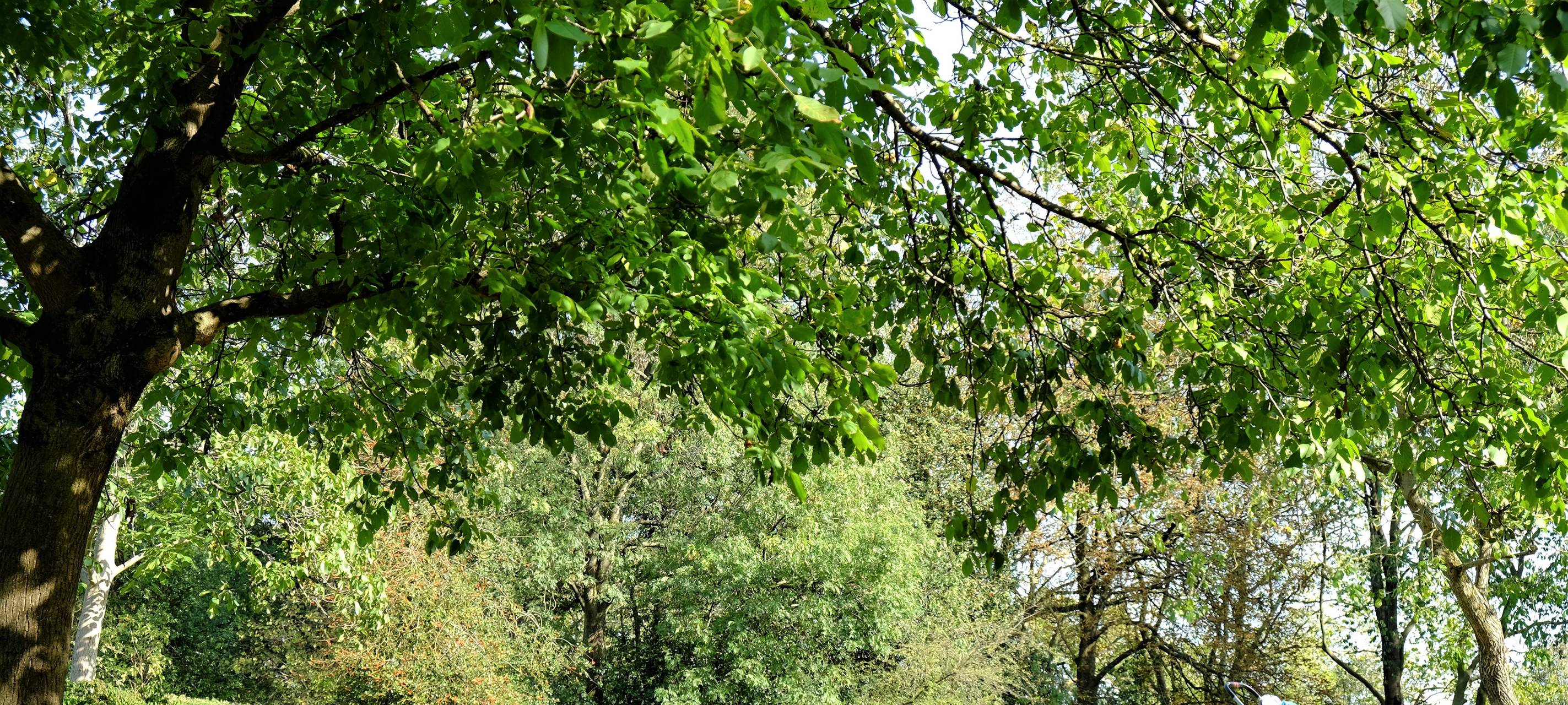 Wieder ein Brand im Nordpark