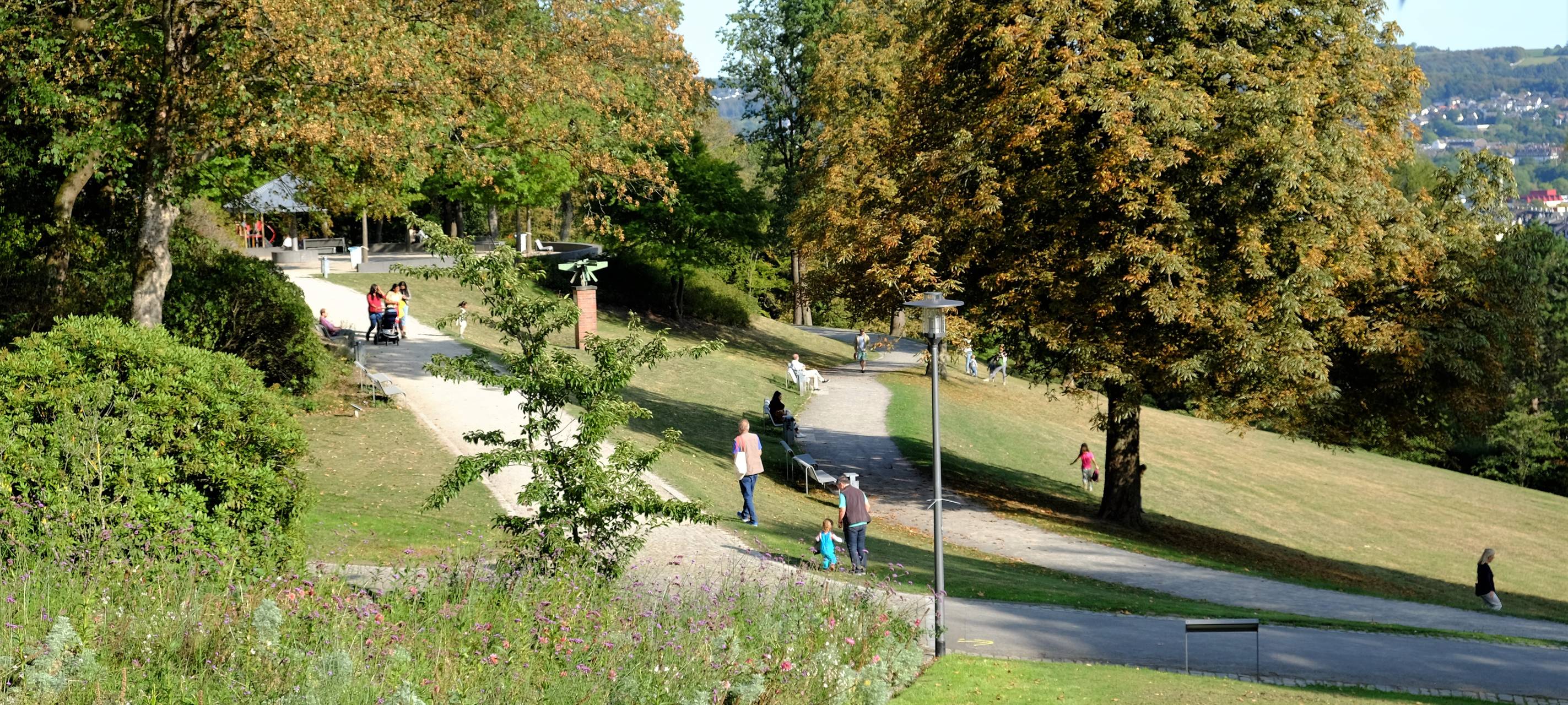 Abgestorbene Bäume im Nordpark