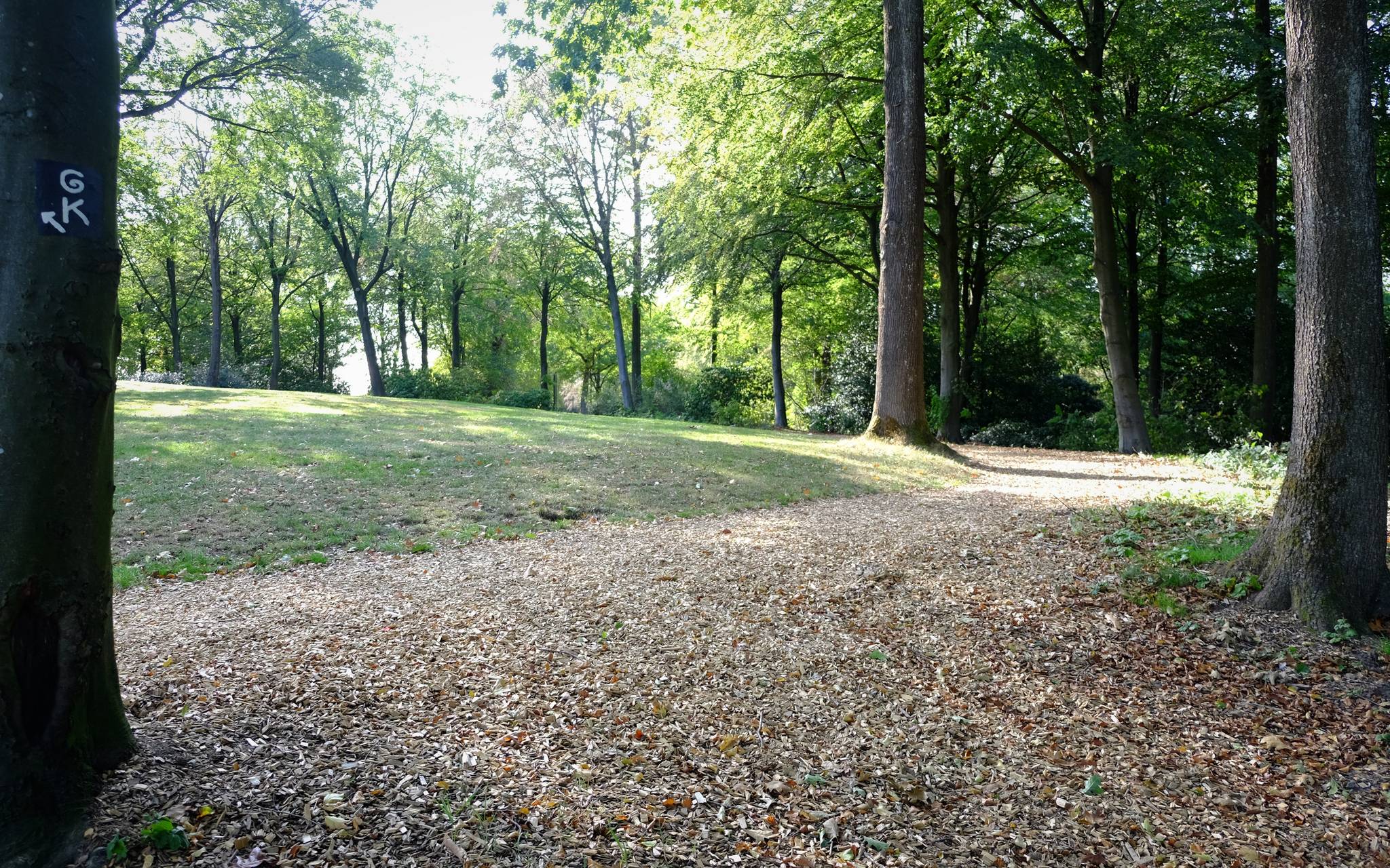 Schonzeit für Gehölze