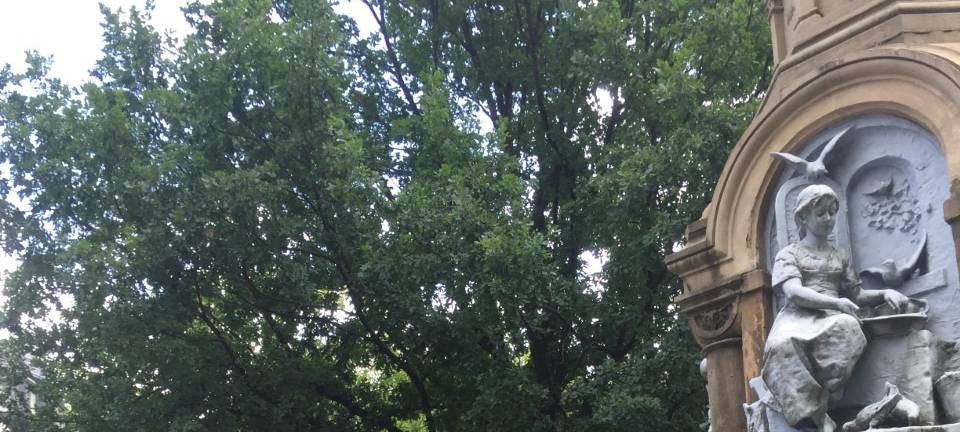 Verschenktag im Zooviertel