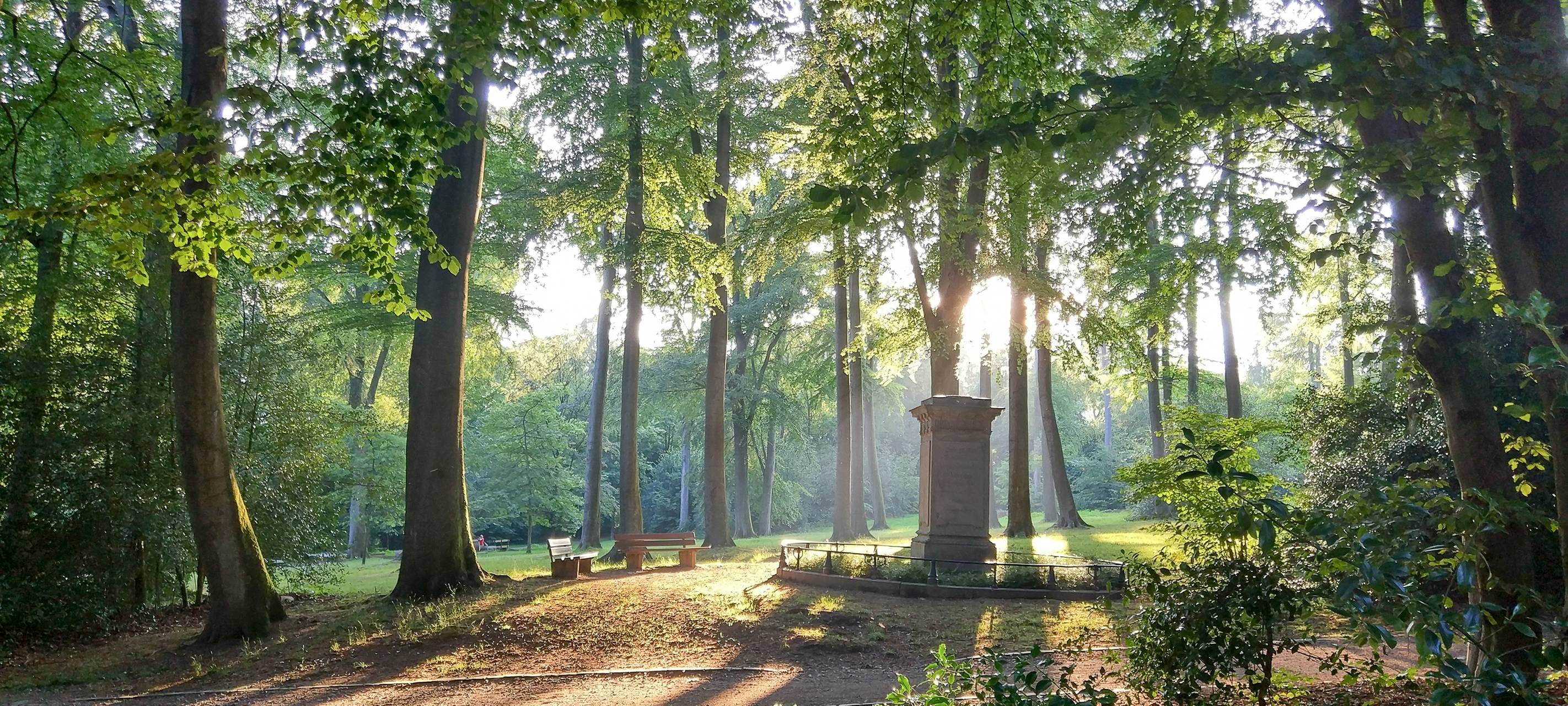 Klimapfad zwischen Nordbahntrasse und Mirker Hain
