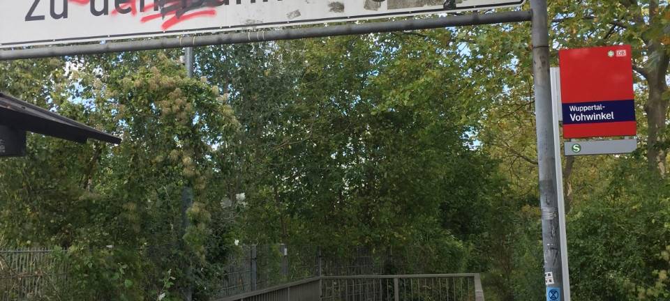 Taubenplage am Bahnhof Vohwinkel