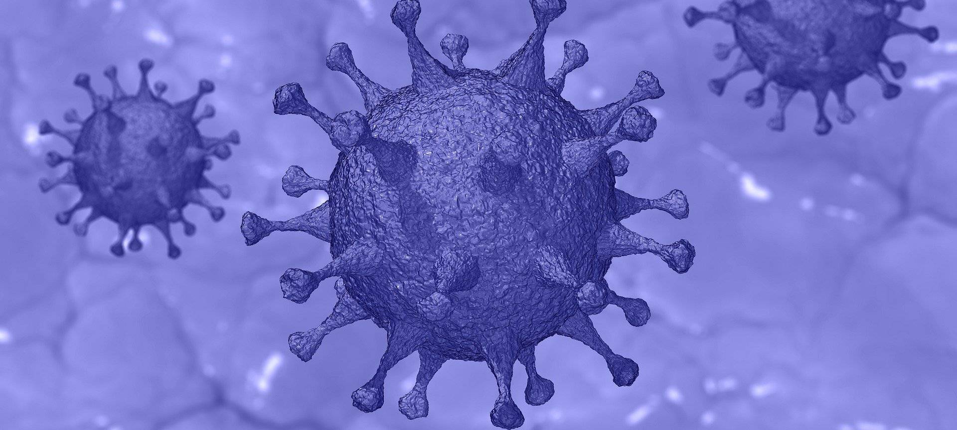 Inzidenz leicht gestiegen