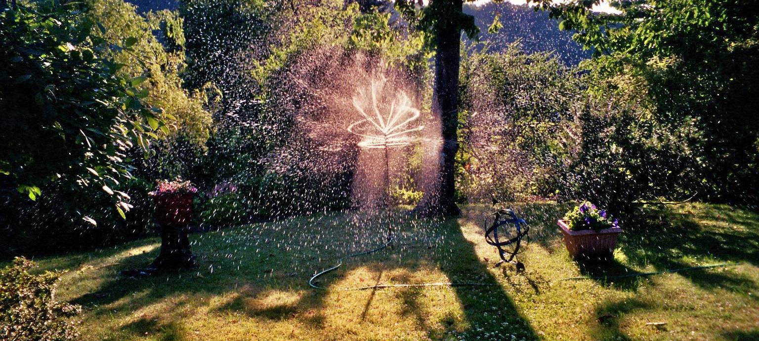 Schönster Kleingarten Wuppertals ausgezeichnet