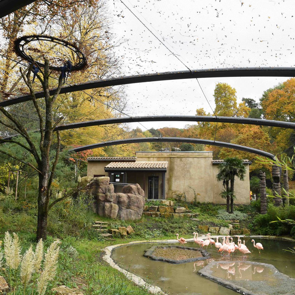 Aralandia virtuell erkunden Radio Wuppertal