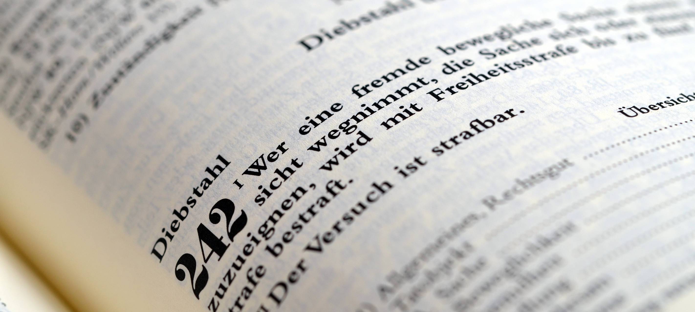 Rabiater Dieb in U-Haft