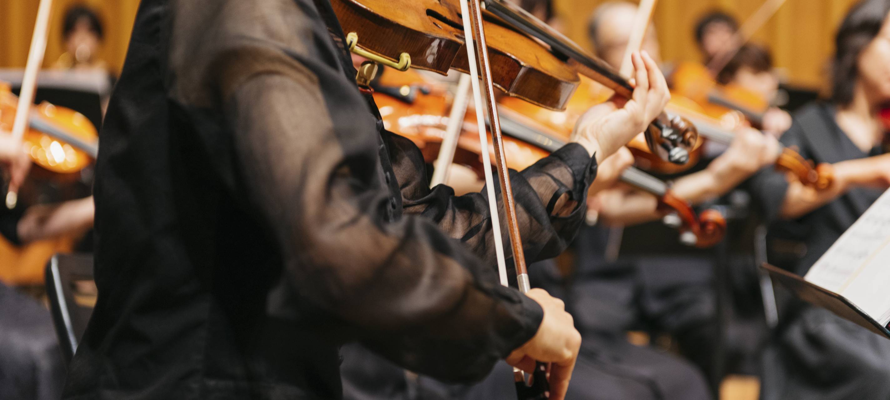 Konzert und Oper für Gehörlose