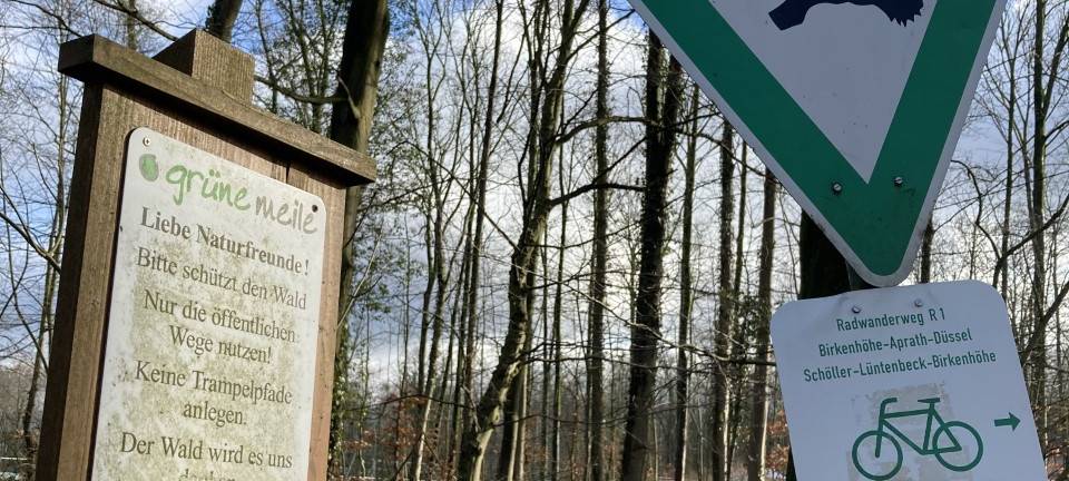 Wo ihr Tierbabys beobachten könnt