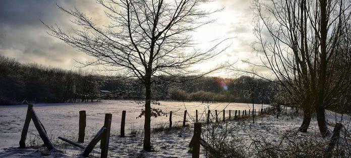 Tricks gegen den Winterblues