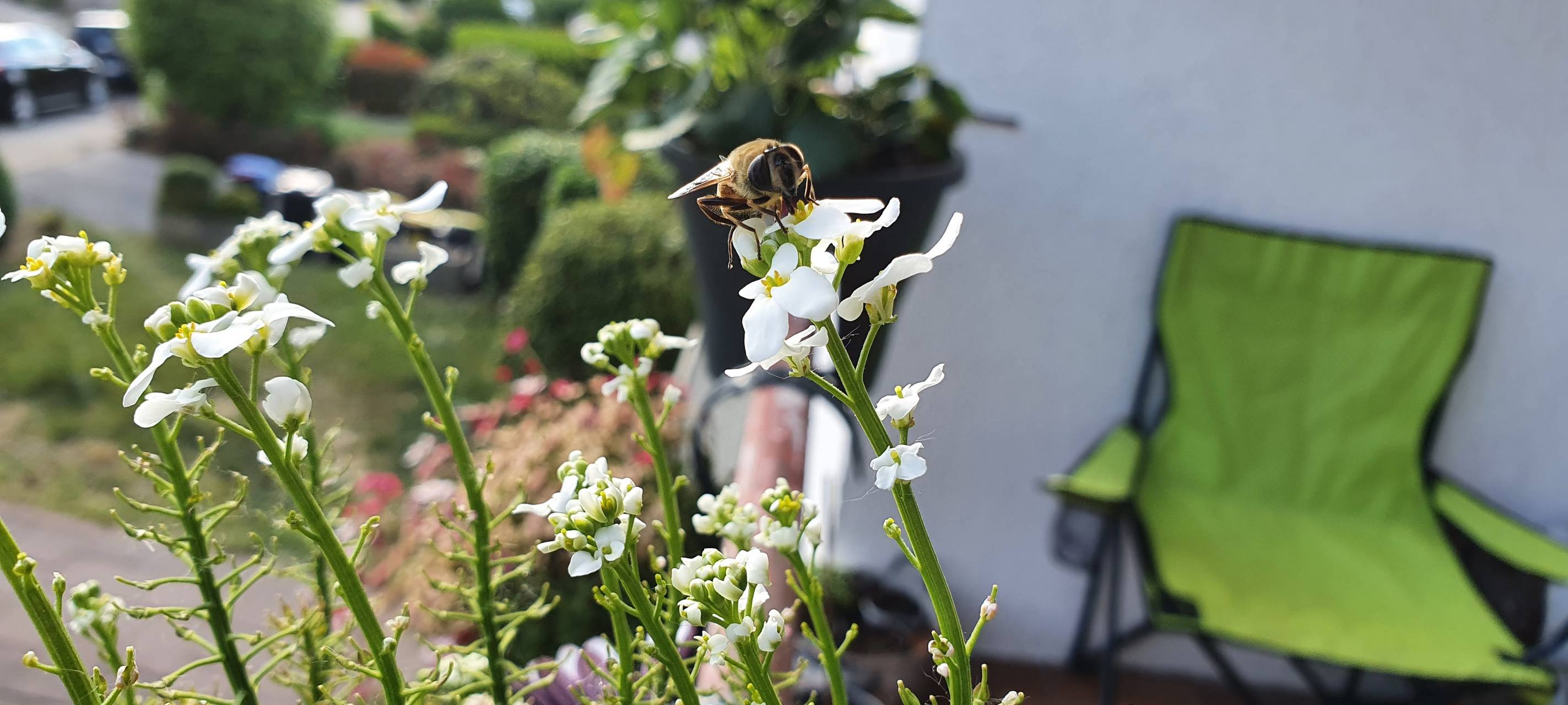 WSW-Bastelprojekt für mehr Schutz für Wildbienen